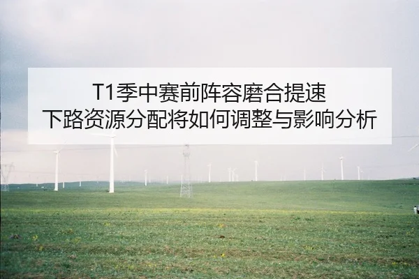T1季中赛前阵容磨合提速 下路资源分配将如何调整与影响分析