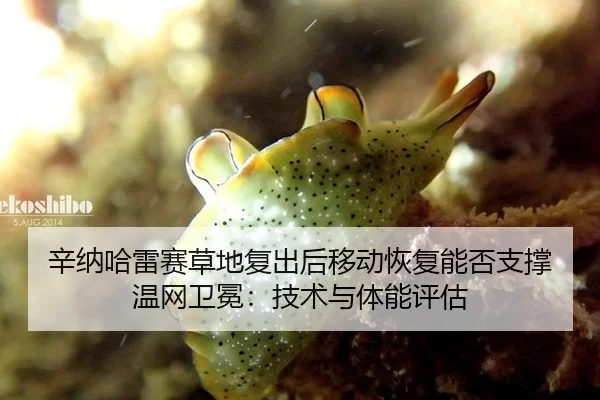 辛纳哈雷赛草地复出后移动恢复能否支撑温网卫冕：技术与体能评估